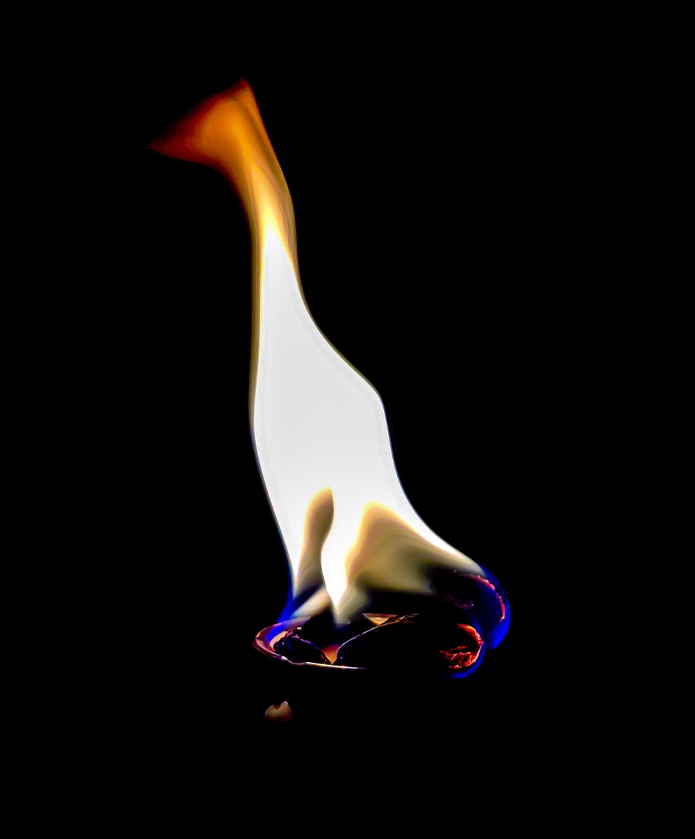yo_mismo1's tweet photo. Otras más 🕯️
Others more 🕯️

Shot on @oneplus x @Hasselblad

#OnePlus9Series #OnePlus9Pro #YourBestShot

#TrueColors #ShotOnOnePlus #NeverSettle

@GlostarsLtd #glostars
Create &amp; Inspire https://t.co/wuNEhb50o1