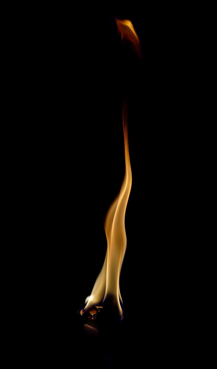 yo_mismo1's tweet photo. Otras más 🕯️
Others more 🕯️

Shot on @oneplus x @Hasselblad

#OnePlus9Series #OnePlus9Pro #YourBestShot

#TrueColors #ShotOnOnePlus #NeverSettle

@GlostarsLtd #glostars
Create &amp; Inspire https://t.co/wuNEhb50o1
