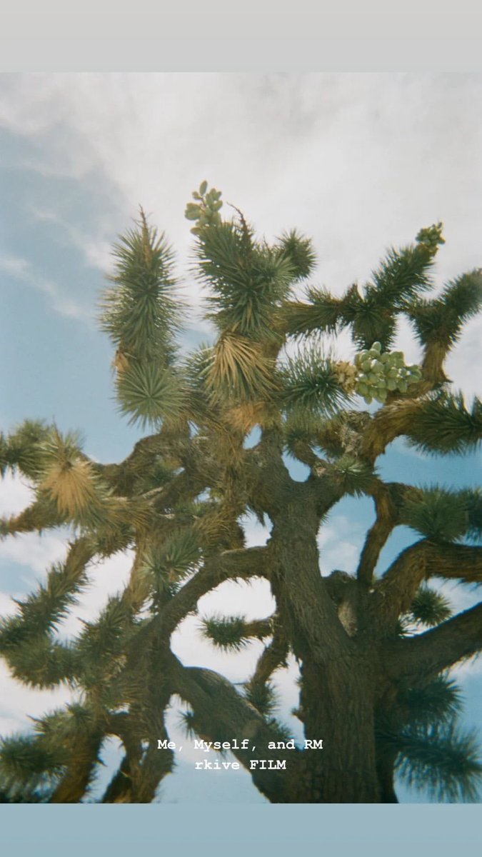 윤서⁷ tweet media