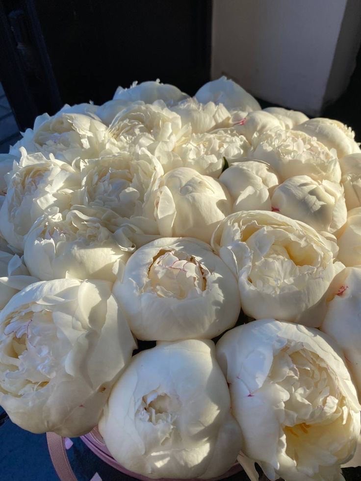 SelectOutfit's tweet photo. peonies https://t.co/xh9CF2RiCz