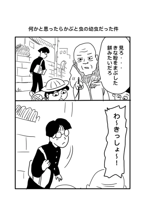 久しぶりにカブトの幼虫見たらけっこうブリンブリンでした 