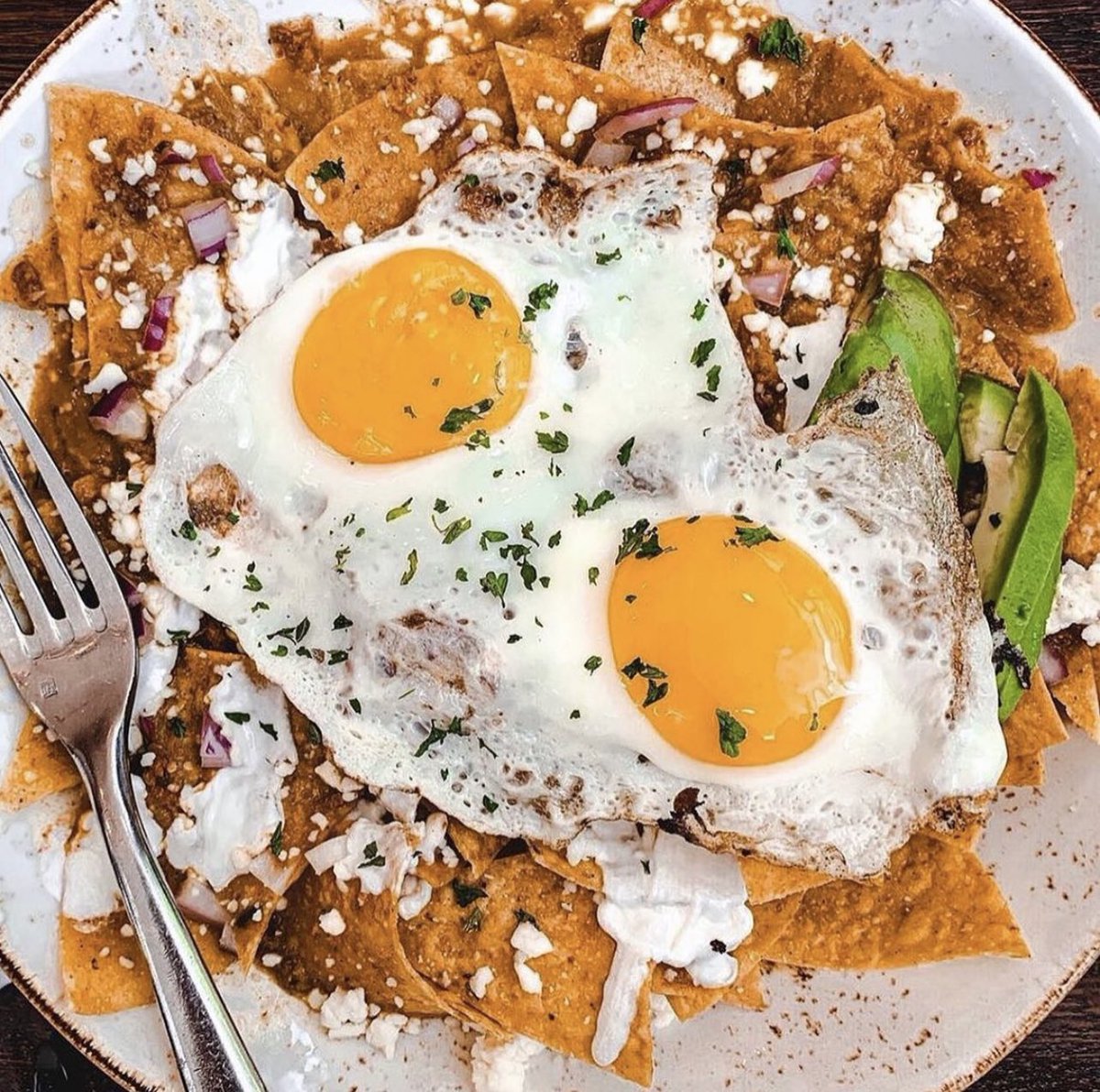 KanelaCafe's tweet photo. Looking for a spicy breakfast to start a great week? Look no further! Our Chilaquiles made with house made chorizo will knock your socks off!
#chilaquiles #spicy #spicybreakfast #breakfast #breakfastclub #brunch #brunchchicago #brunchclub #sunnyside #housemade #chorizo https://t.co/Mojd588siR