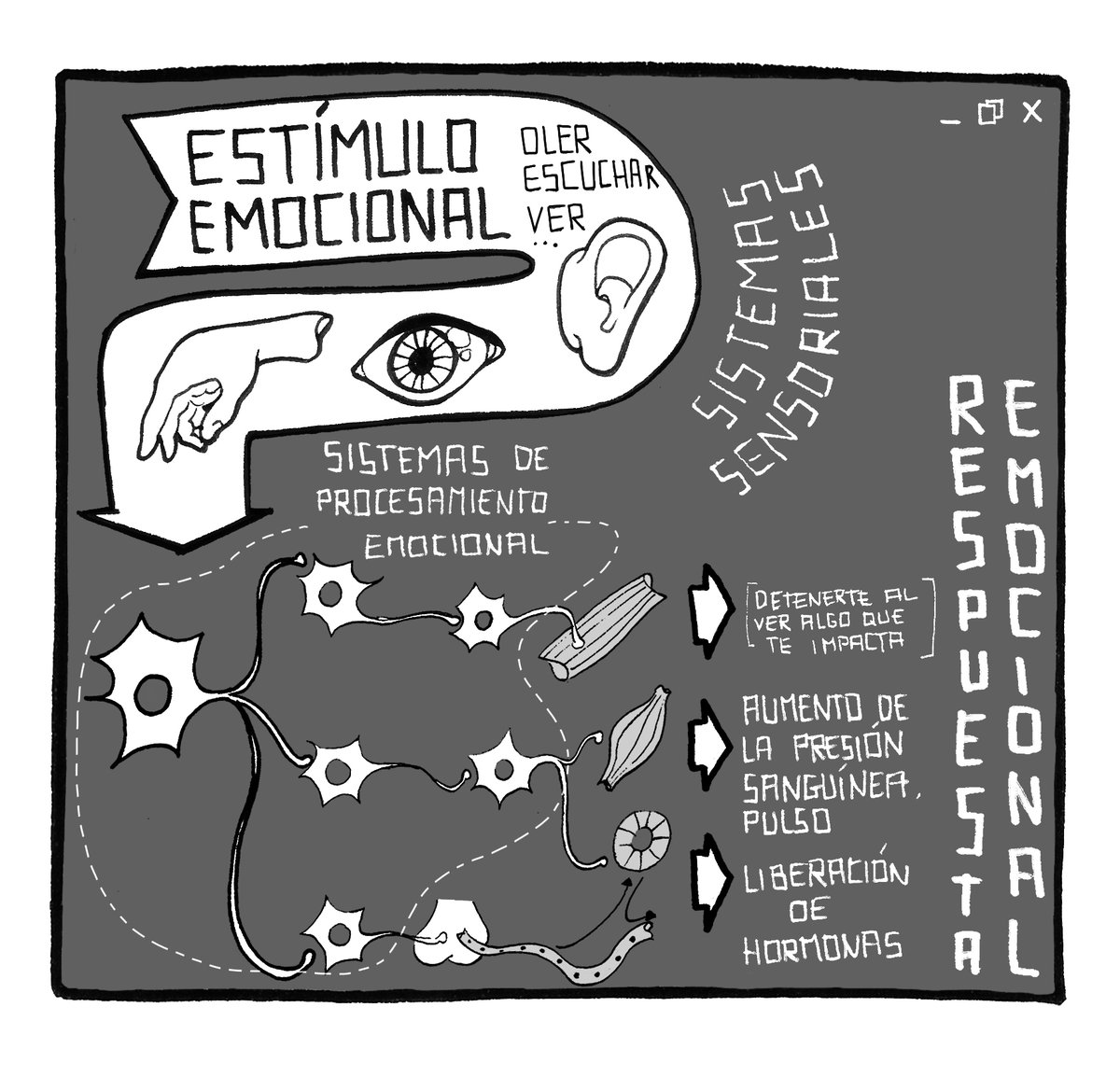 los videojuegos y la neurociencia