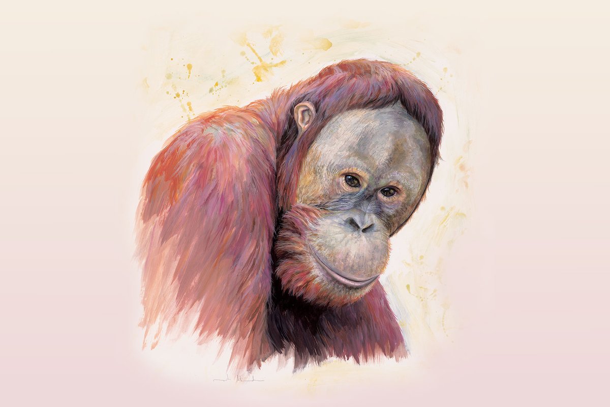 IBE_Barcelona's tweet photo. Han hallado una gran #similitud en la #diversidad de isoformas de #ARN entre #primates.

Las #innovaciones #evolutivas específicas de cada especie están implicadas en el #sistema #inmunitario innato y en procesos de inflamación.

➡️https://t.co/lmQocldwvP https://t.co/L4rxGg8AQ4