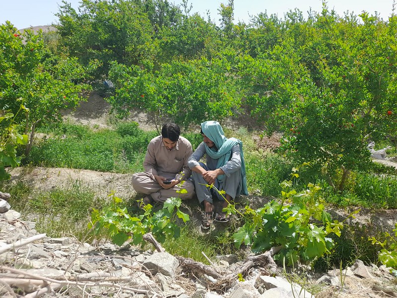 BethBechdol's tweet photo. We need high quality data to target support where it is needed most.

@FAO’s #DataInEmergencies Hub provides the accurate &amp; consistent data that we need to programme effectively &amp; meet people’s needs in food crisis contexts.

https://t.co/mDK2gHdft1 https://t.co/dXrCWXSXWu
