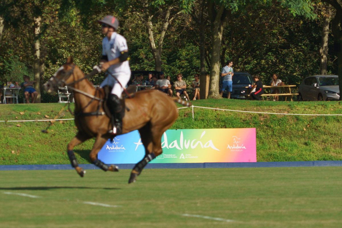 Sponsory tweet media