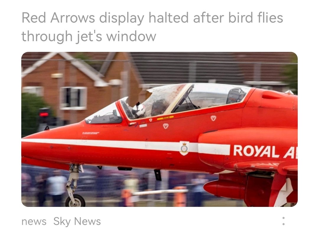 uncrediblepod's tweet photo. I suspect the headline may be apportioning a bit too much agency to the bird in this incident.... https://t.co/ixQuPKBHoA