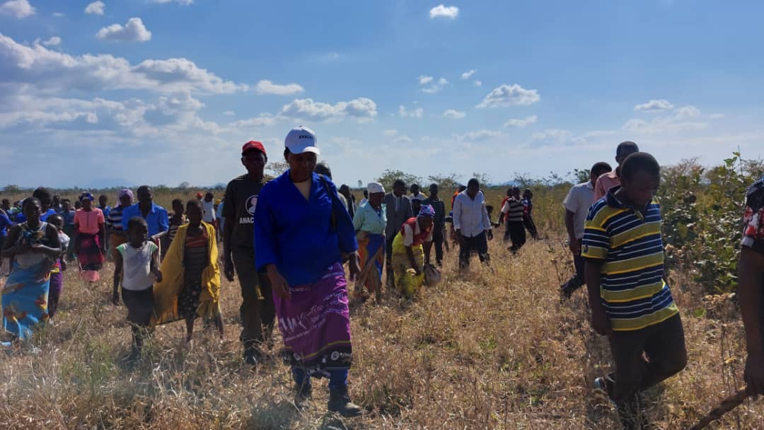 PWCmalawi tweet media