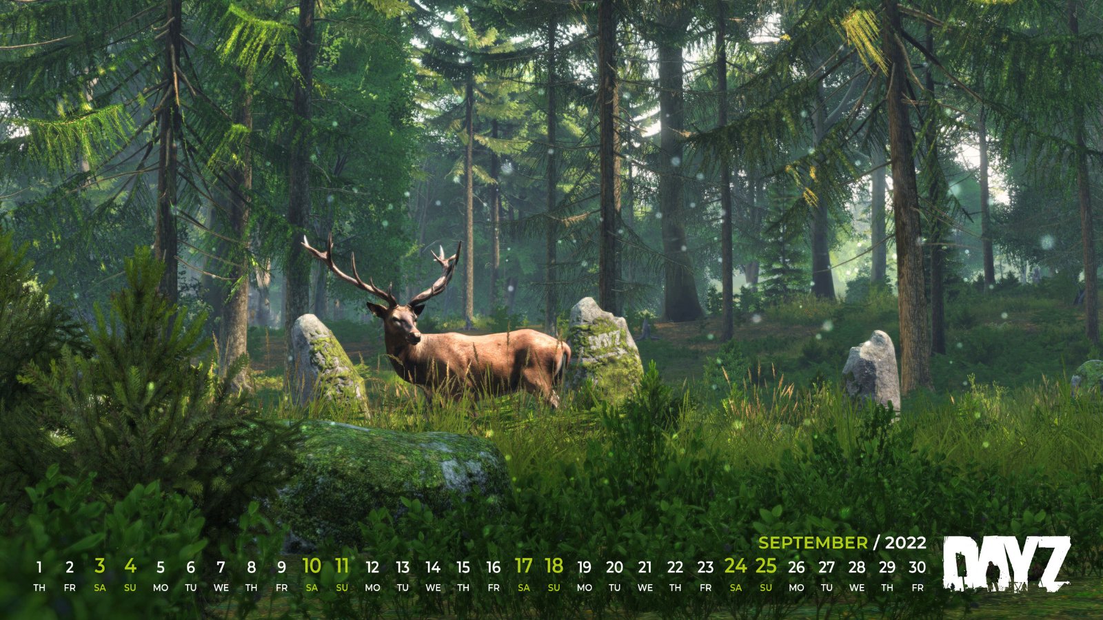 DayZ 🖥 🎮 ❤️ على X: 