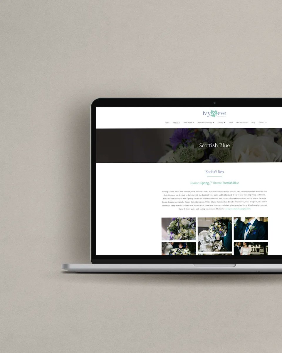 mintsauce_media's tweet photo. Custom Wordpress websites for creative businesses are our thing!

We love this work, and we know what goes into creating a site that gets results.
Showcasing your work, in a way that's appealing to your clients, is a whole different beast to your average Wordpress theme you buy. https://t.co/8CZK44m3p6