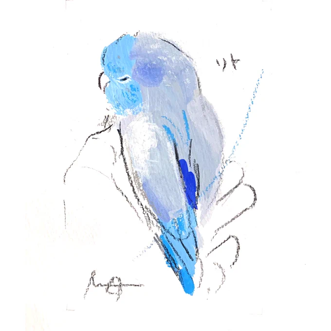 続きましての#小鳥のアートフェスタ in横浜オーダーイラストのご紹介は手のひらの中で眠るマメルリハさんです。 