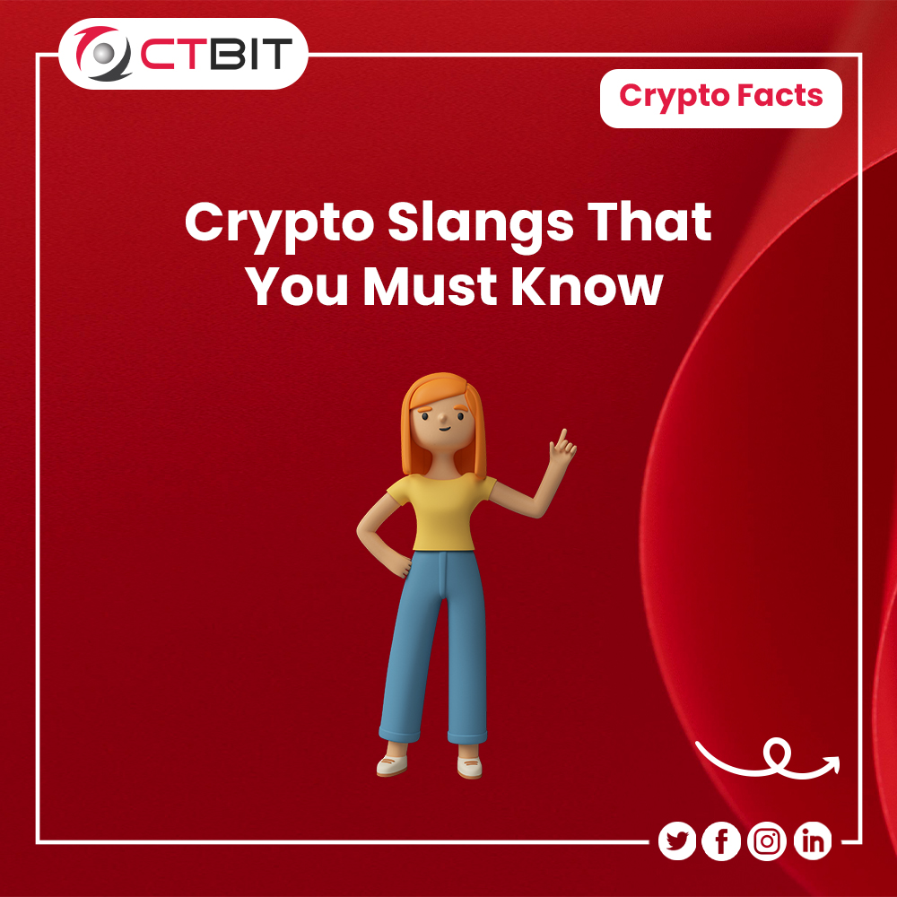 CTBIT3's tweet image. We hope that you are enjoying our Crypto Facts series. So here we have come again with another crypto slang.
#cryptocurrency 
#copytrading 
#copytradingplatform 
#securitysystem
#prevention
#tradinginfutures
#futurestrading
#stablecoins
#CompleteSecurity
#ctbit