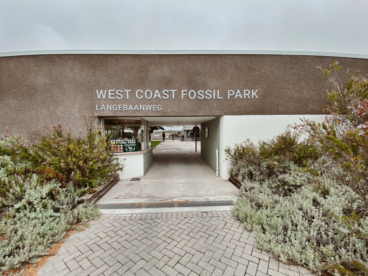 WestCoastFossil's tweet photo. Have you heard of West Coast Fossil Park? π΄
A place to travel back in time, learn and discover. A short drive from Cape Town and a fun adventure for kids, take a look at what we have to offer and book your tour, https://t.co/wnxS6dxuLR π¦
#VisitWestCoastFossilPark #WCFP https://t.co/O4z7hMsQGL