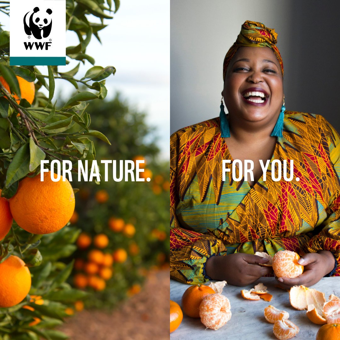 DYK? In South Africa, one-third of all food produced is wasted every year. That’s about 10 million tonnes! 🥦 🗑️ Changing your diet would make a positive impact on nature. Are you ready to rethink what you buy and eat? 🌍 🍽️  bit.ly/3QZXUhR
#ForNatureForYou
<a href="/zola_nene/">Zola Nene</a>