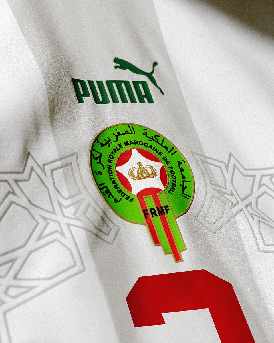 11LionsNL's tweet photo. More details of the @EnMaroc World Cup away kit, released by @pumafootball https://t.co/Zx0WdGWhYL