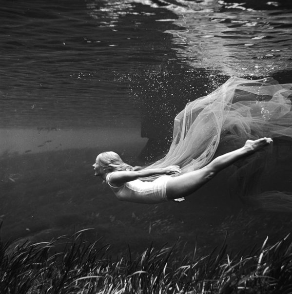 carollovekin's tweet photo. Dim swim today (pool is doing weird times) so I shall swim in my imagination. #Mercrone https://t.co/v0EeP0Wxja