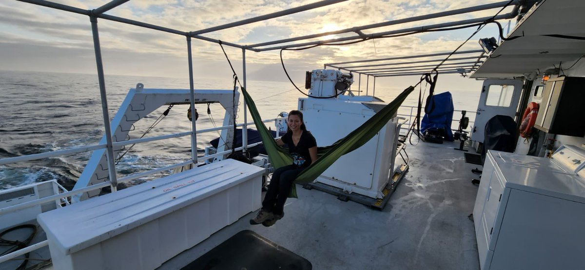 KakaniKatija's tweet image. I’ve staked out this hammock spot on @MBARI_News #RVWesternFlyer now for 5 years. There are definitely worse places to be. ❤️ #DOIGExpedition2022 📷 @AlexPHoover