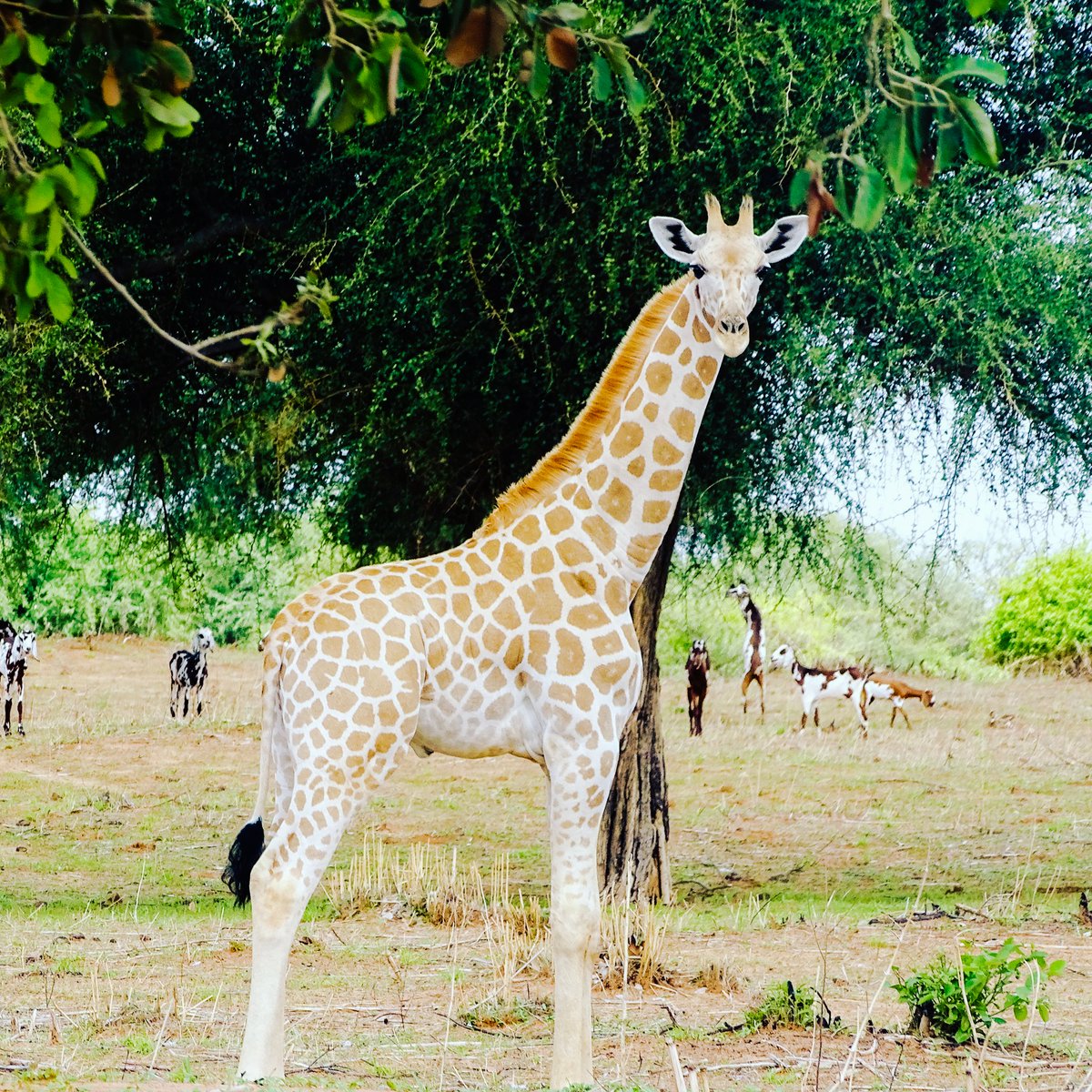 Bon début de la semaine à tous ❤️❤️❤️.