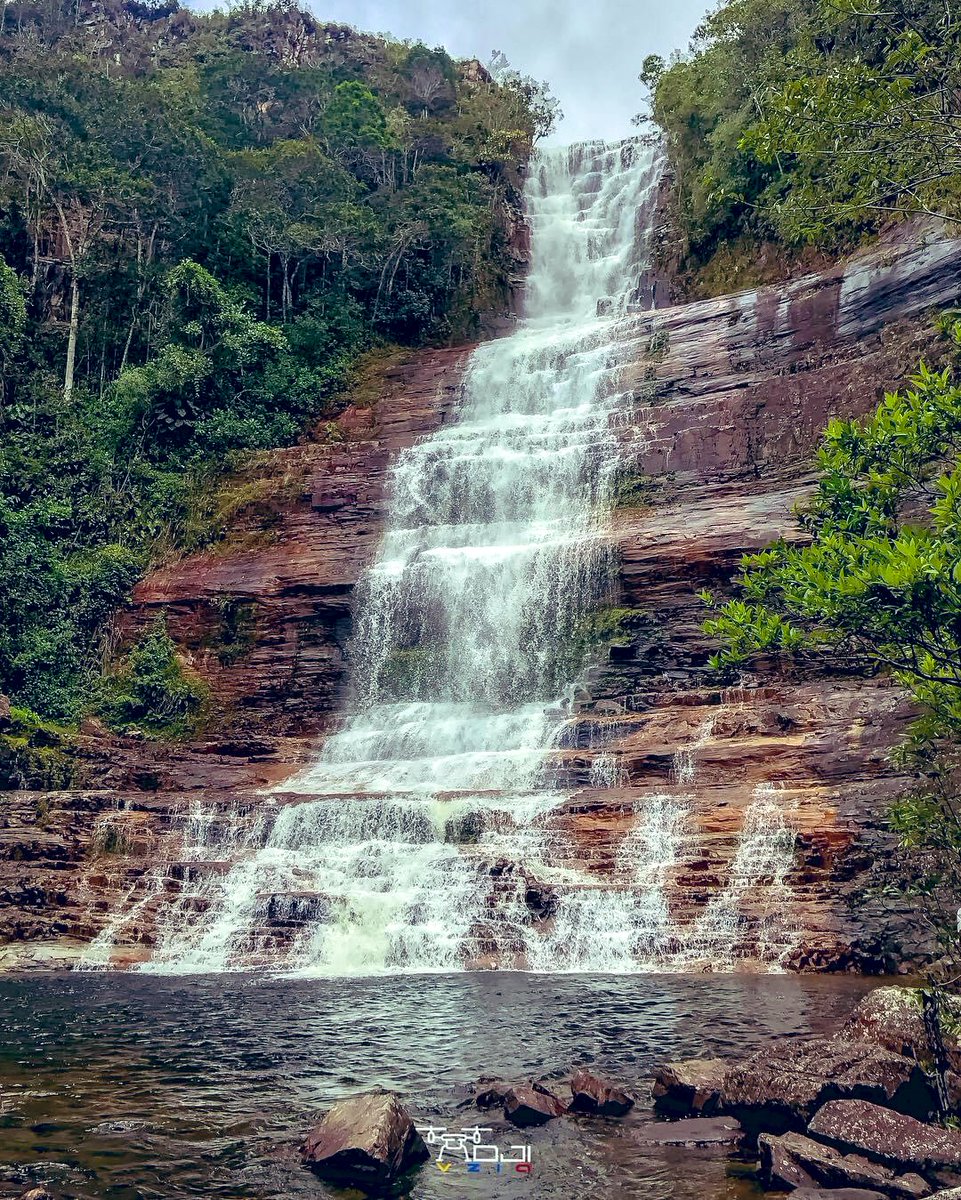 GianlucaCoccon1's tweet photo. Hermosa postal 
Salto TORON MERÚ, ubicado en el municipio Gran Sabana Parque Nacional Canaima…Edo Bolívar VENEZUELA 🇻🇪🇻🇪🇻🇪🇻🇪🇻🇪🇻🇪🇻🇪🇻🇪🇻🇪🇻🇪🇻🇪🇻🇪
📸@DjiVzla https://t.co/O0CUbC8RRZ