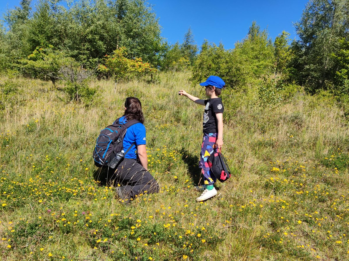 NlandRangers's tweet photo. Join us on our final #summer #ForestSchool #holidayclub at #Walltown this Thursday. Enjoy the freedom of a nature-based holiday club in the heart of @NlandNP. Suitable for children aged 6-14 years old. https://t.co/jGd8cKcj9t #outdoorplay #fun #games #discover #explore #wildlife https://t.co/fEc2z7h6pX