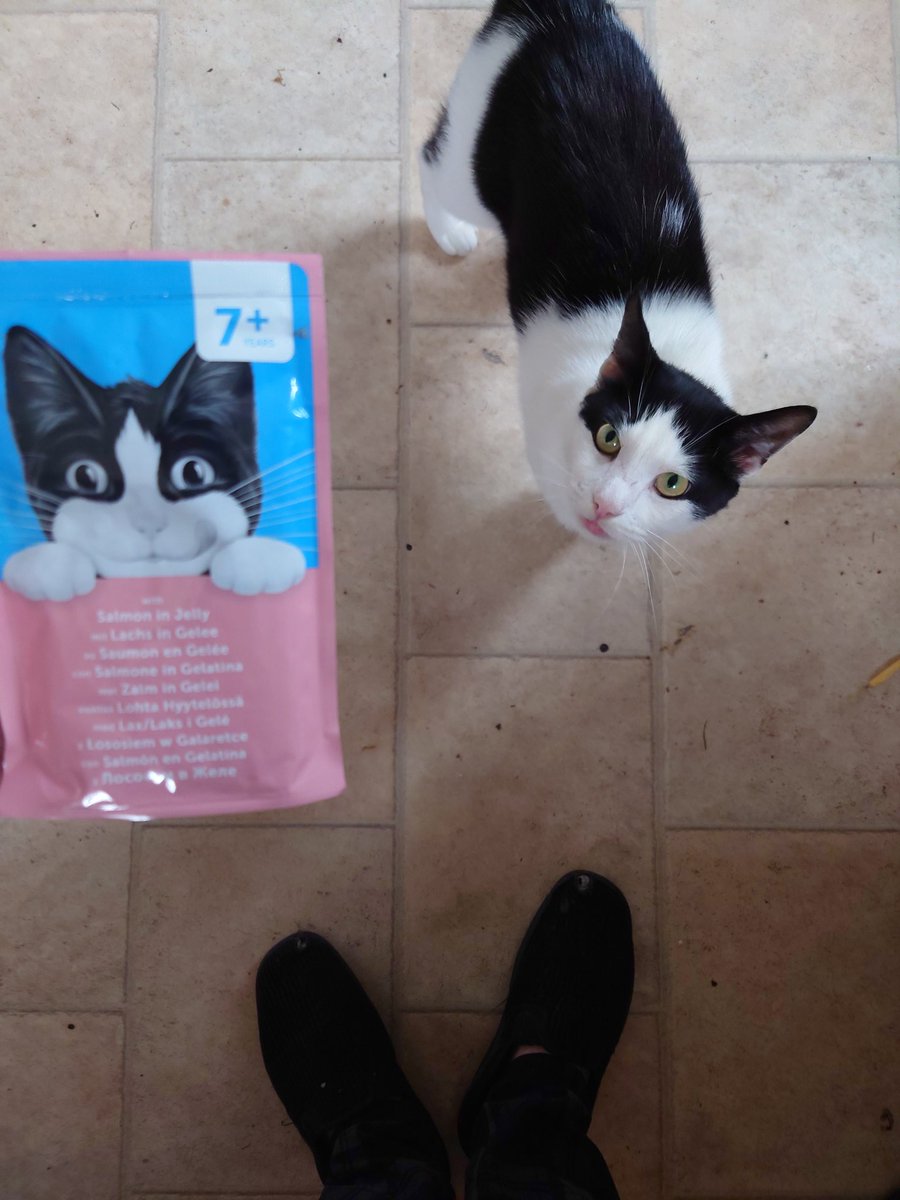 See_a_con's tweet photo. Not an exact match, but this pops into my head whenever I feed my flatmate's cat. https://t.co/GNmJPSnOKg