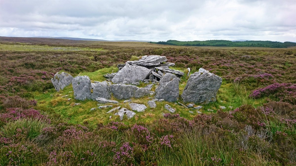 Franmkelly1987's tweet photo. In the heart of the plateau between #Glencar and #Glenade valleys sits a late #Neolithic/early #BronzeAge settlement. Hut sites, field walls, cairns, a wedge tomb, and enclosures. A remarkable site, I couldn’t resist a visit while looking for sweathouses. 
#Leitrim #archaeology https://t.co/yJzpNiNAEd