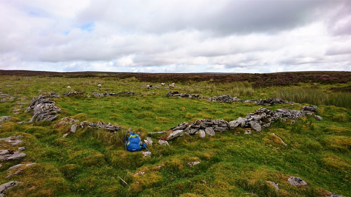 Franmkelly1987's tweet photo. In the heart of the plateau between #Glencar and #Glenade valleys sits a late #Neolithic/early #BronzeAge settlement. Hut sites, field walls, cairns, a wedge tomb, and enclosures. A remarkable site, I couldn’t resist a visit while looking for sweathouses. 
#Leitrim #archaeology https://t.co/yJzpNiNAEd