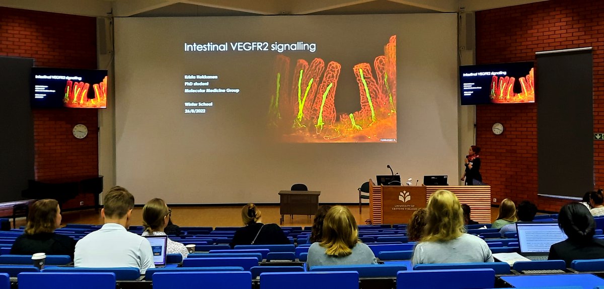 SYHLab's tweet photo. Great representation of our lab last Friday at the
@UEF_DPMM Winter School 2022! Presentations, power pitches, and many posters. Congratulations also to Dr. Mohan Babu for the best Thesis award of 2019! 🎉 #UEFwinterschool https://t.co/QdXSsfMDIr
