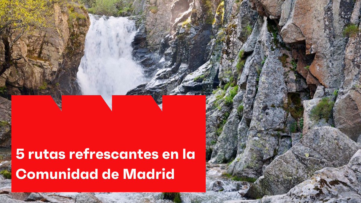 MadridNuevoN's tweet photo. Con #septiembre a las puertas y con temperaturas todavía un poco elevadas, tenemos un plan que ofrecerte 👇
Hemos recopilado 5 rutas (con cascadas incluidas 🏞)  para que retomes el contacto con la #naturaleza sin salir de Madrid. 
https://t.co/pDhz3q18DQ https://t.co/SP5oOc4eem