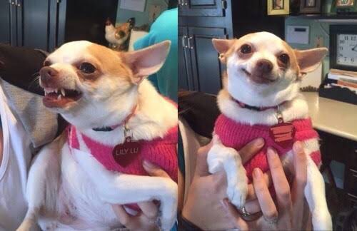 monroejaspers's tweet photo. daemon when otto called him out vs daemon when rhaenyra called him out 

#HouseOfTheDragonHBO  #HouseoftheDragon https://t.co/pkQpFcwhtT