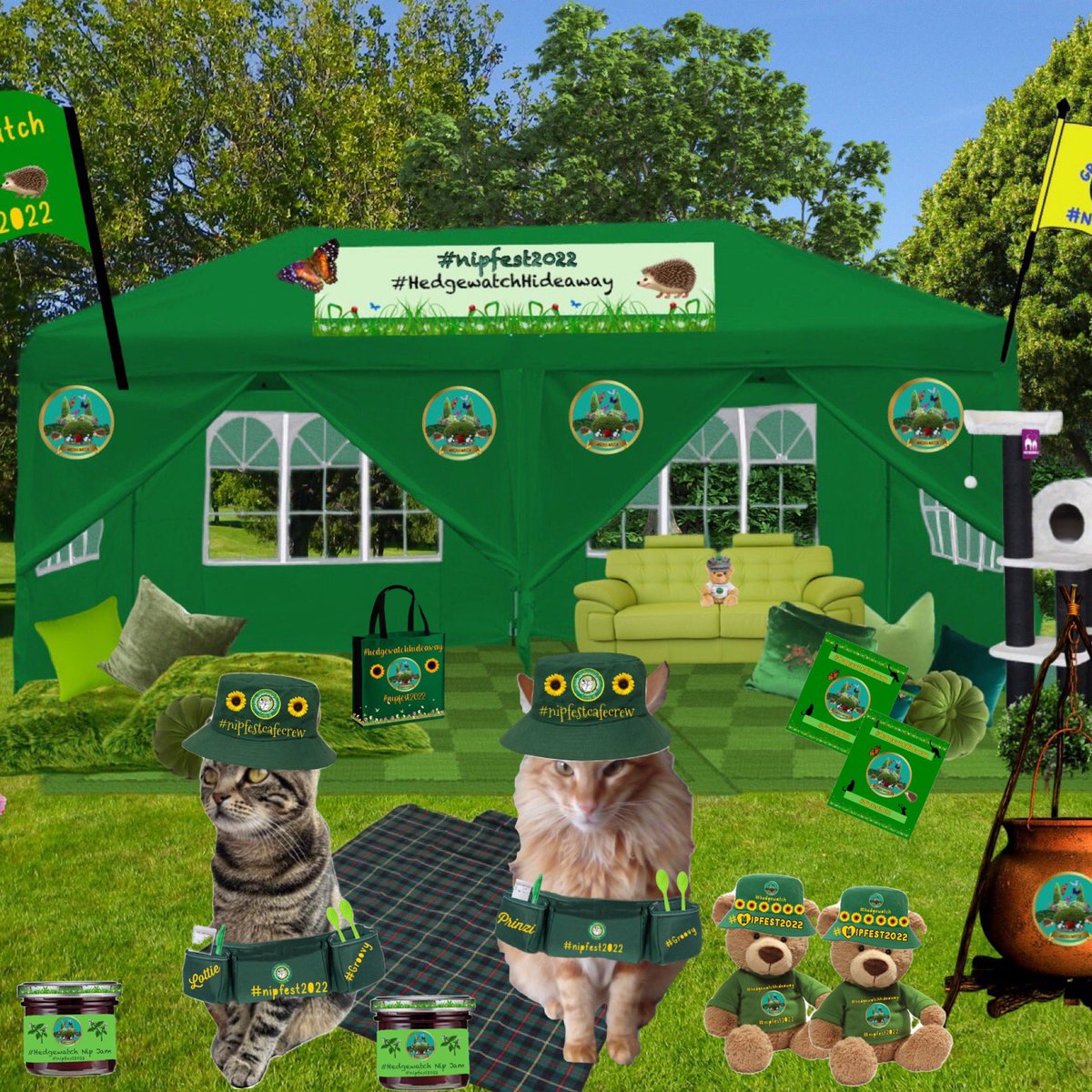 Hedgewatch tweet media