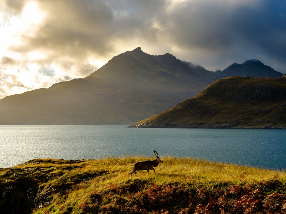 Looking for a bank holiday morning read? Check out our latest X Story discussing the #GFX100S by photographer <a href="/Benji_Cherry/">Ben Cherry</a> 👇
fujifilm-x.com/en-gb/stories/…