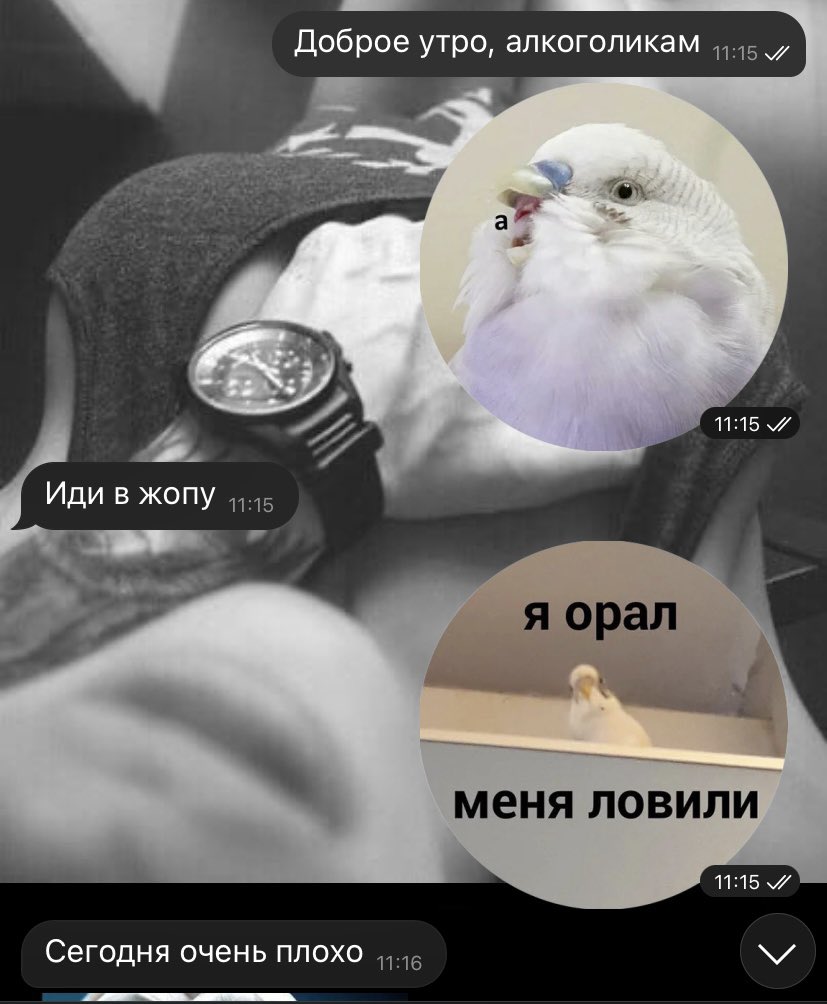 _KiraaLisaa's tweet photo. Я люблю стебаться над друзьями https://t.co/4OhfN7T5Ns