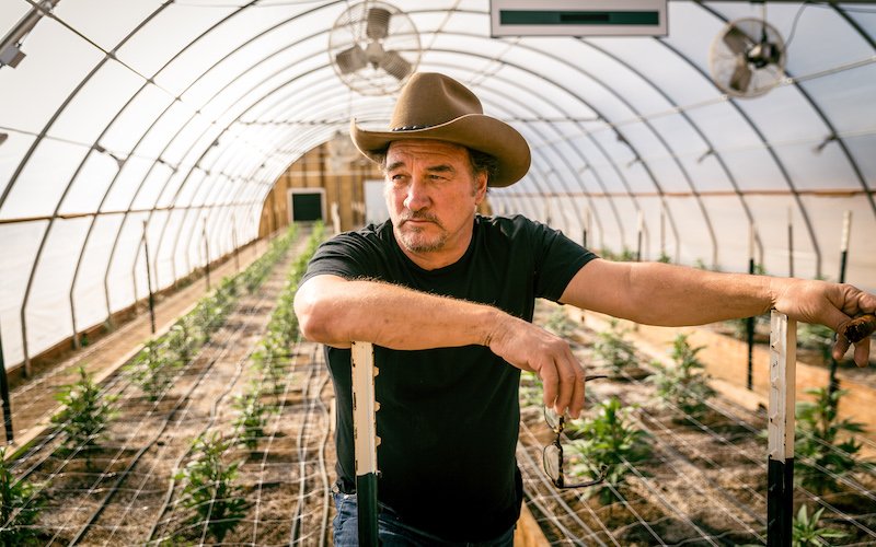 AlexOliveres's tweet photo. Lejos quedan los años de #DankoCalorRojo, #ElRector y #SuperagenteK9 para #JamesBelushi que ahora dedica todo su tiempo al cultivo de marihuana. https://t.co/EzaYUlaf3O