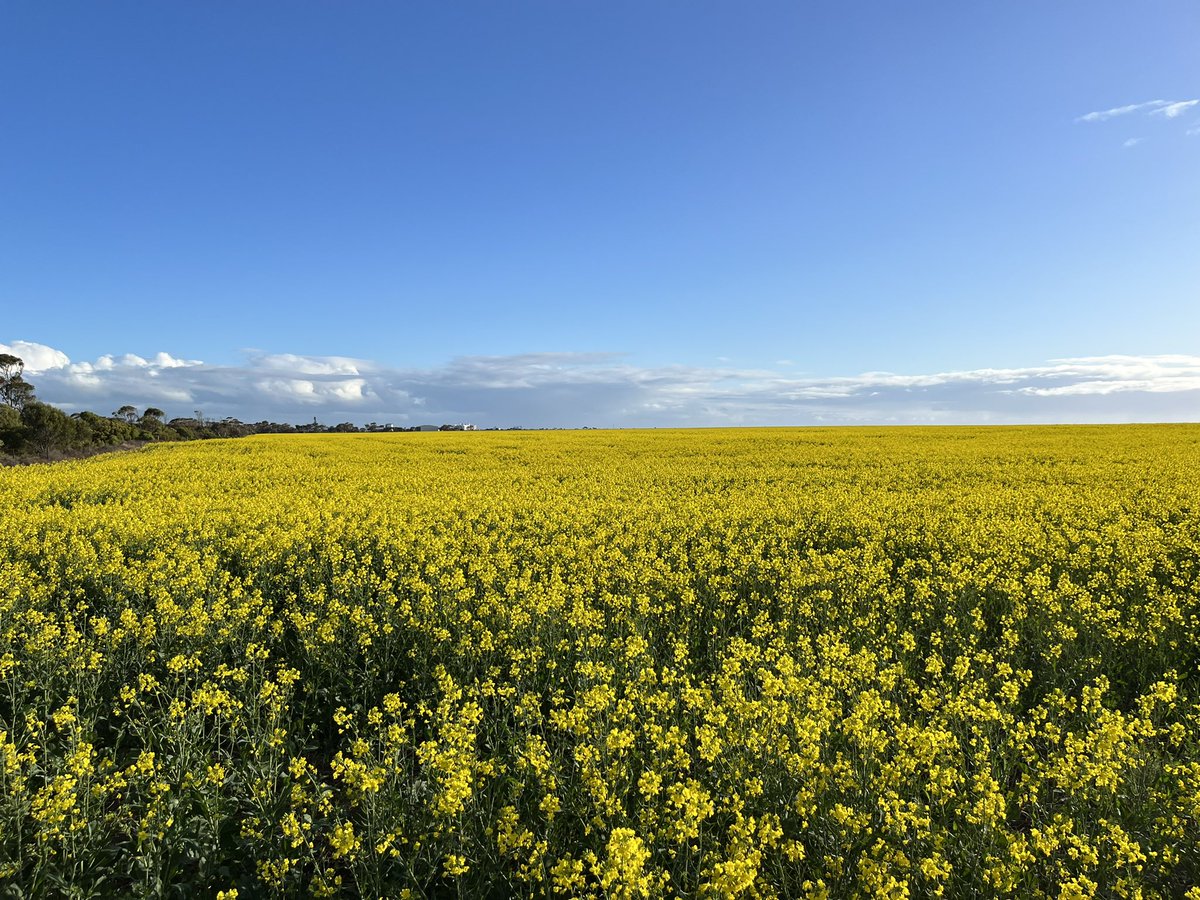 Stephen Paddick tweet media