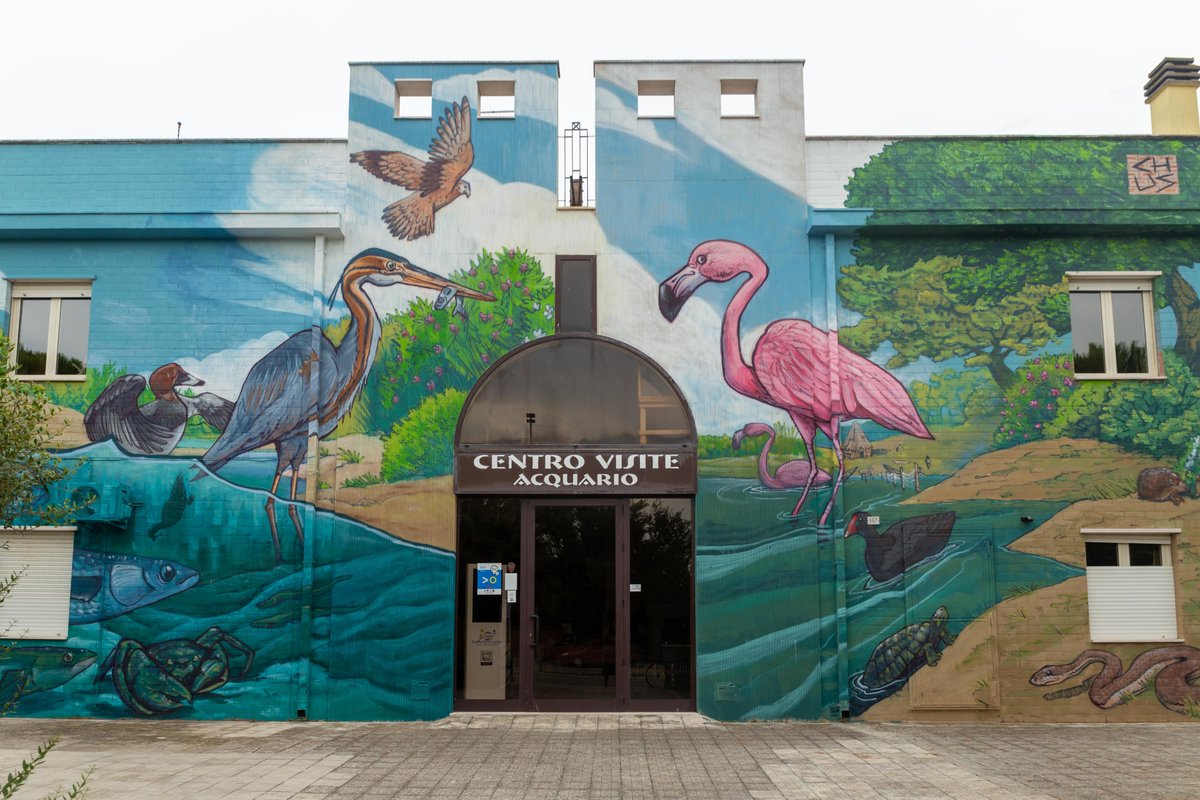 Centro Visite Lesina (@centrovisiteles) on Twitter photo 