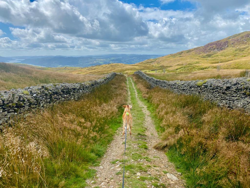 Roman Tours tweet media