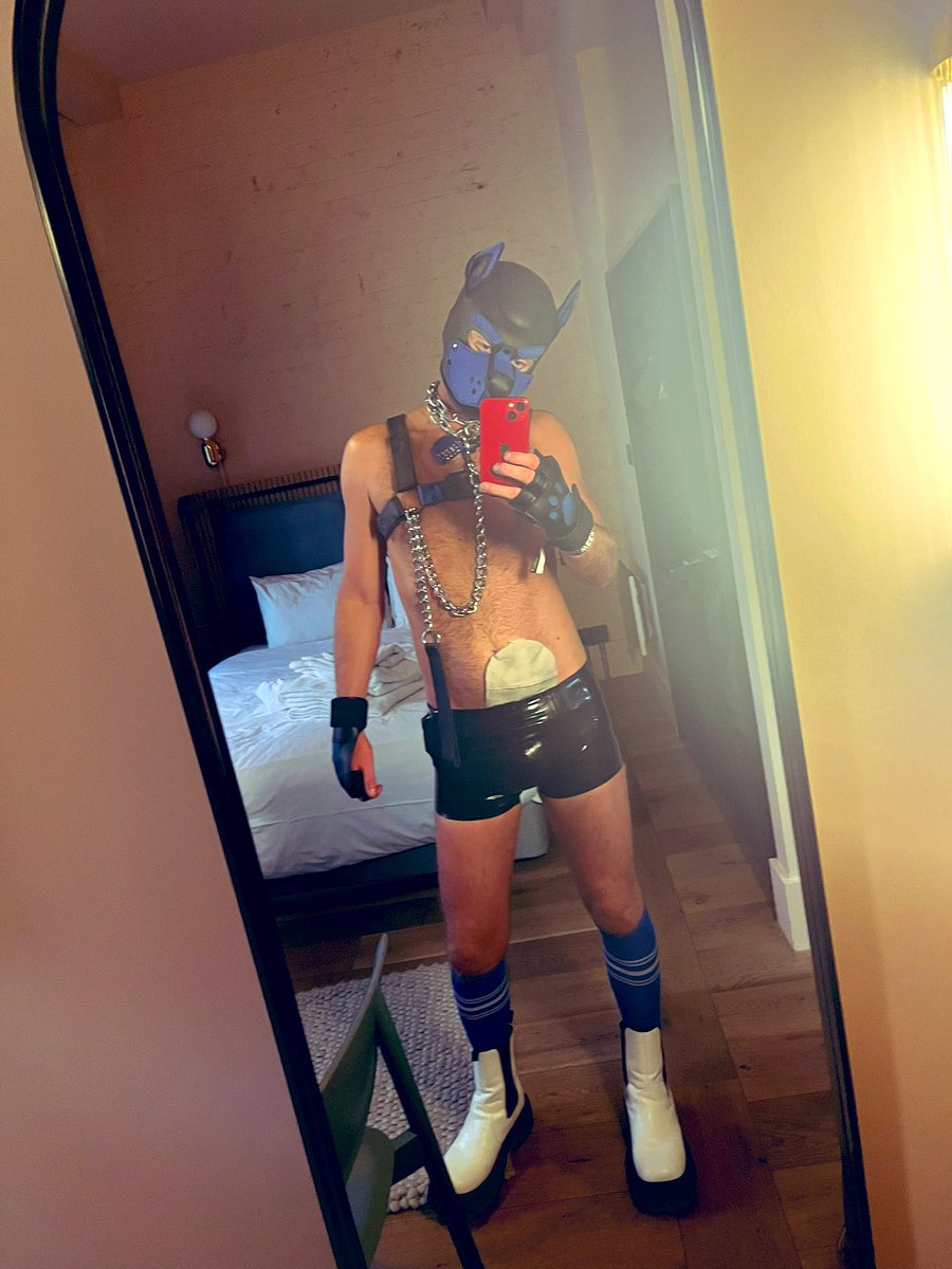PupJakko's tweet photo. Manchester you were incredible as ever!! Feeling very conflicted as I head on home down southβ¦ I always get so sad when leaving my hometown π’
#ManchesterPride2022 #PrideManchester #Pup #HumanPup #PupPlay #Kink #Rubber #Leather #LoveWins #ComeAsYouAre https://t.co/rKVT0odwO7