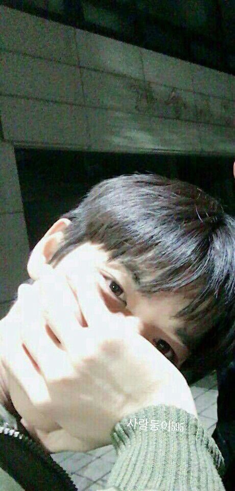 얘들아 배진영 18살 됐다