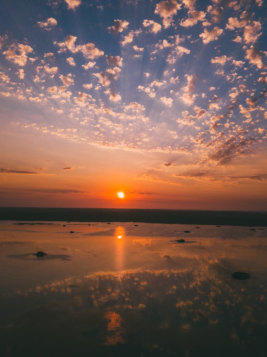 Les Landes tweet media