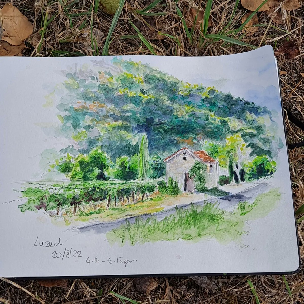 creativestates's tweet photo. Walking through vineyards in Luzech, in Lot Valley,  France.  Handy tree stump for stuff, shared with a busy line of ants- wondered when they would lose patience with me. Sketch done with Inktense. 

#luzech #vineyards #lotvalley #landscapedrawing #sketchbook #enpleinair https://t.co/hnY76ufKnY