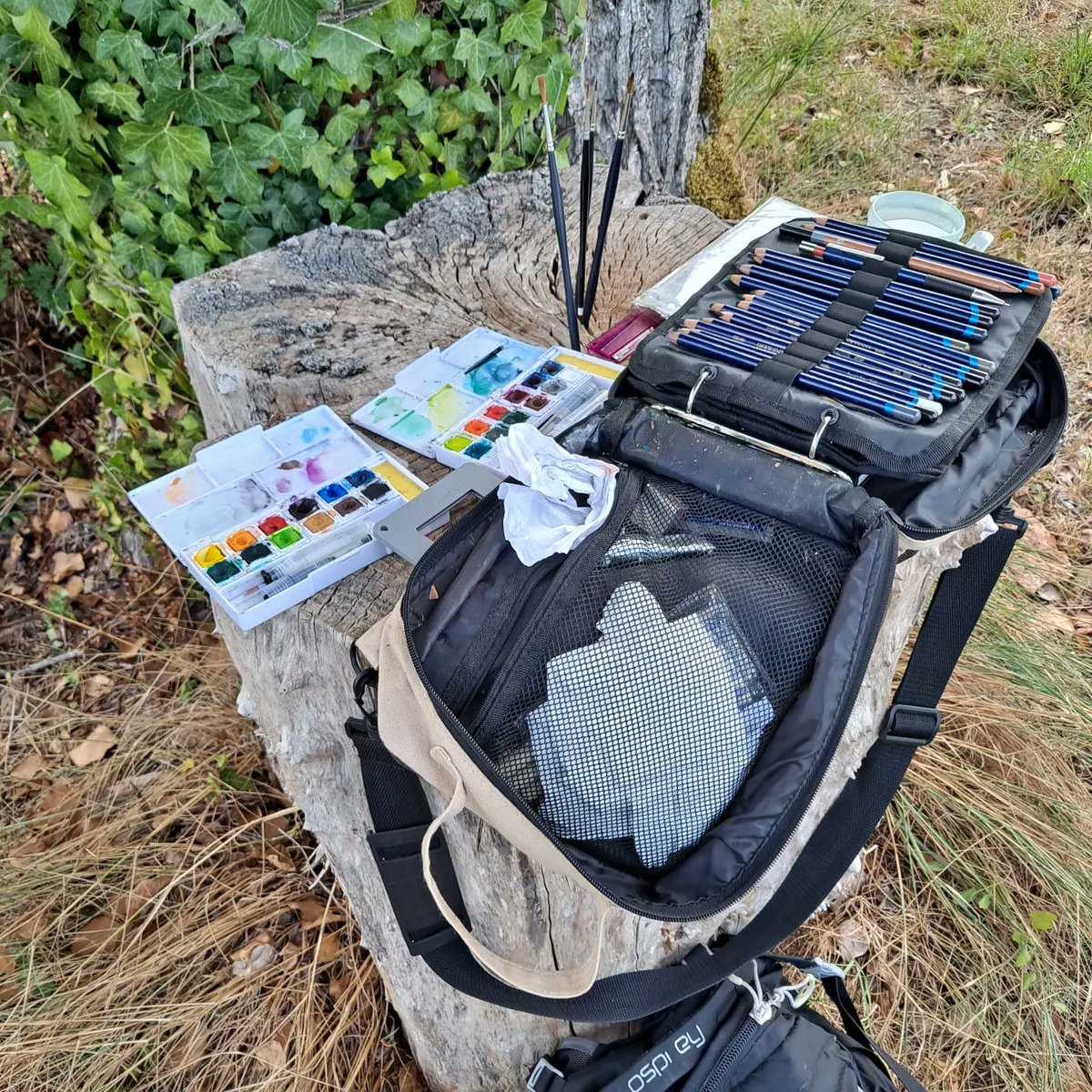creativestates's tweet photo. Walking through vineyards in Luzech, in Lot Valley,  France.  Handy tree stump for stuff, shared with a busy line of ants- wondered when they would lose patience with me. Sketch done with Inktense. 

#luzech #vineyards #lotvalley #landscapedrawing #sketchbook #enpleinair https://t.co/hnY76ufKnY