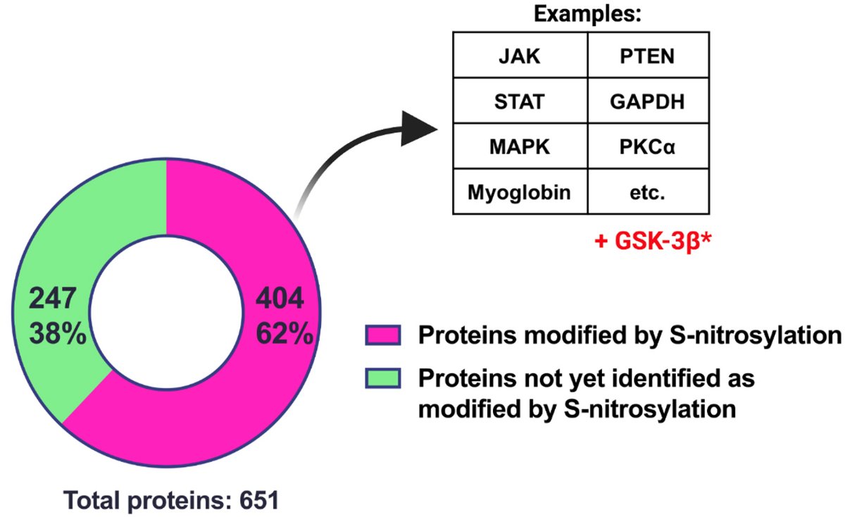 JCA_Journal's tweet photo. 🧐Editorial: #GSNOR regulates #cardiomyocyte differentiation and maturation through protein S-nitrosylation @JCA_Journal
😆FULL-TEXT: https://t.co/ANgwnmSxuZ
🤩PDF: https://t.co/2bea1o7PCn https://t.co/WhGnyn0Ycv