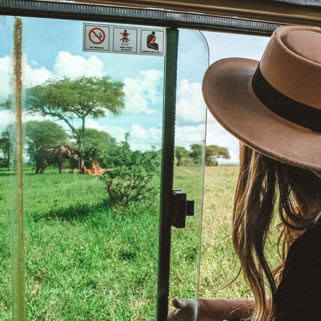 acaciacols's tweet photo. A game drive is an activity where you can view wildlife in the comfort of a 4×4 either enclosed with pop-up roof or open-sided safari vehicle that can accommodate 4 to 6 people. 

#AcaciaCollections
#TanzaniaSafari
#HomeAwayfromHome
#luxuryaccommodations
#AfricaSafari https://t.co/7eZaRHsuI8