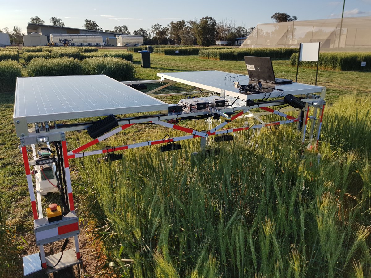 Guy Coleman tweet media