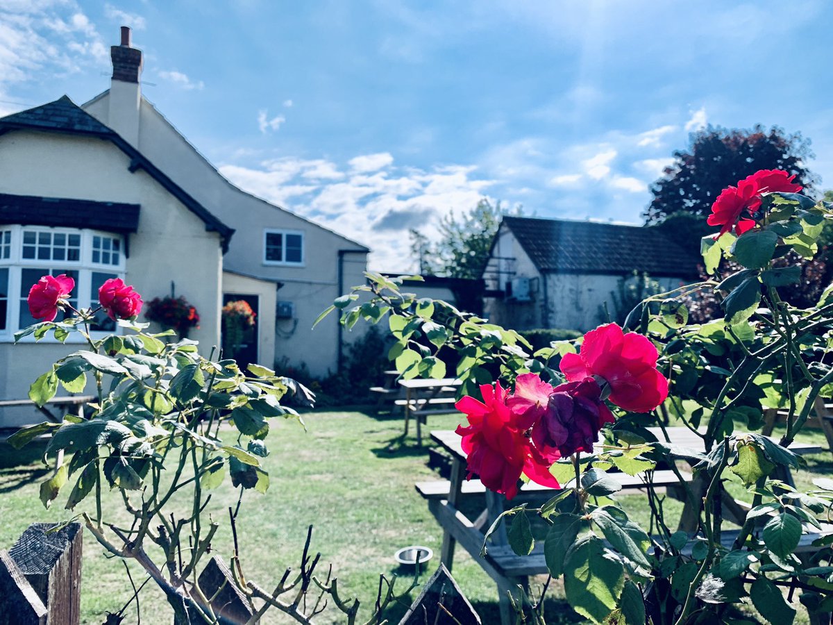 The Salutation Inn tweet media