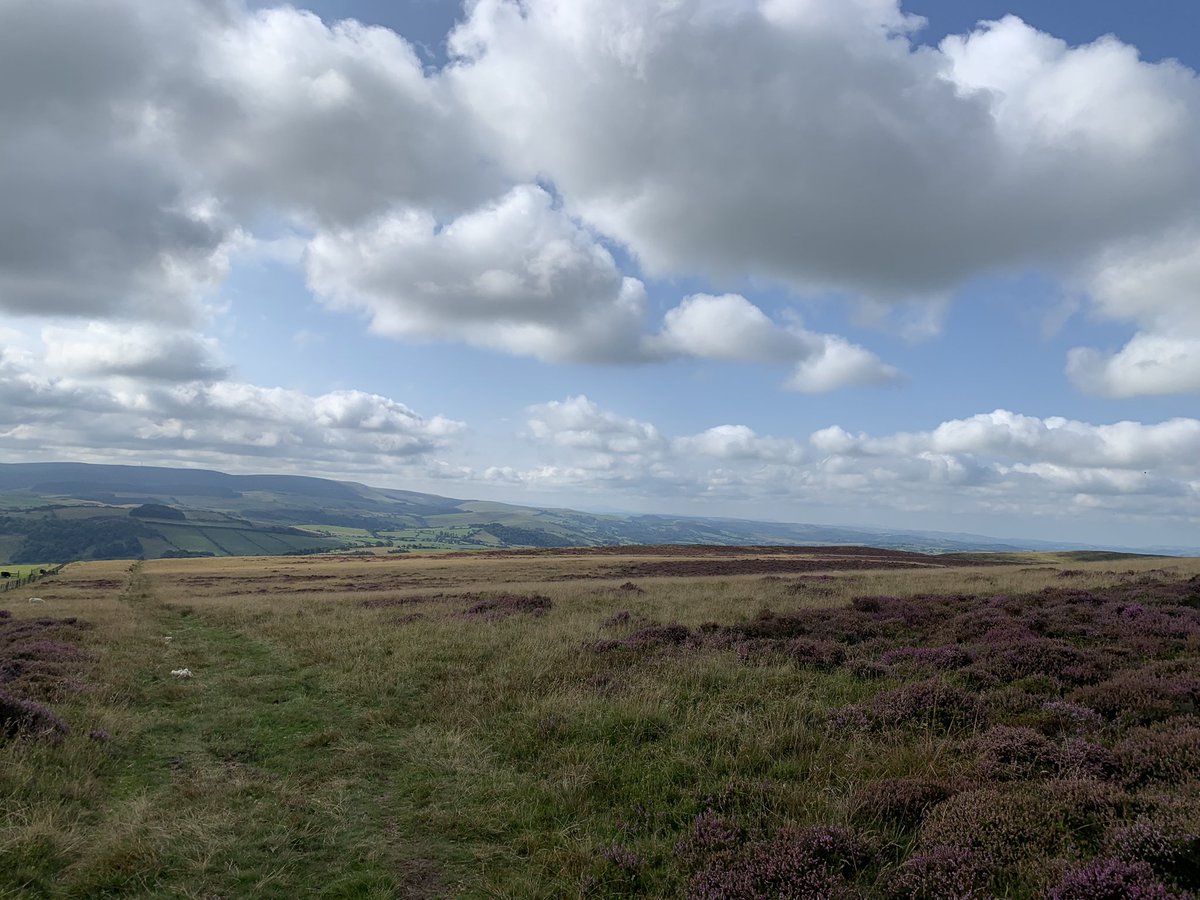 Julian_John_'s tweet image. Back where I belong, high on a hill in #Radnorshire #NoPeople #JustDogs just #BeatBuds and #90’sDance 🕺