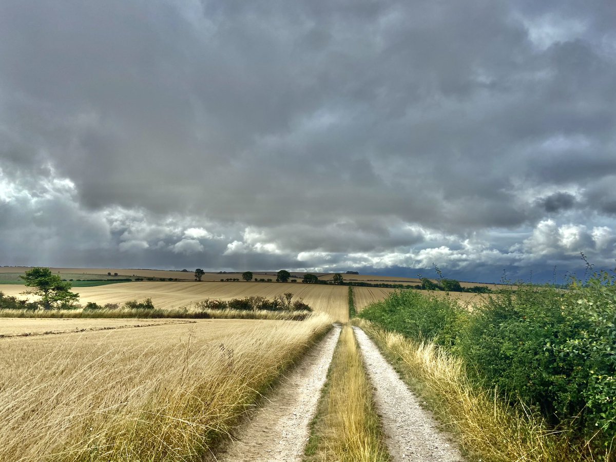 Dr. Jarret Ruminski 🌲 on Twitter "RT WeatherWolds Early Morning