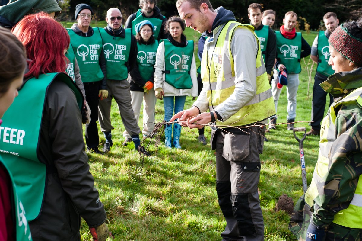 Our Urban Forest Team is hiring! 

We are looking for a knowledgeable, engaging and energetic individual to support and coordinate the delivery of a range of tree planting projects, small and large scale.

 ⌛ Deadline: September 12th 2022 

More info: bit.ly/3QLfbL8