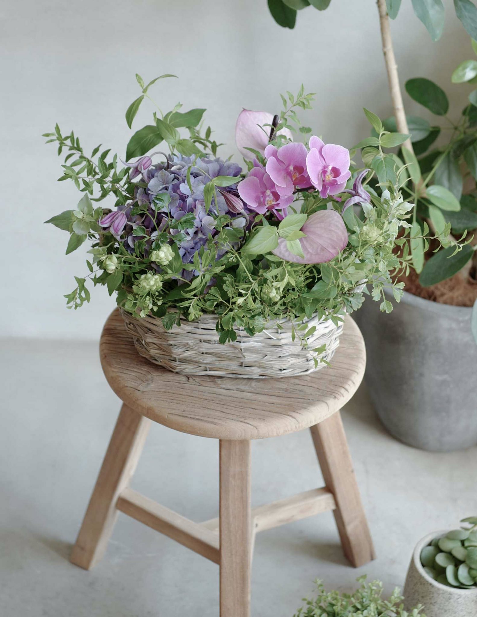 大塚智子 ジュールドゥ Jourdouxohtsuka Twitter